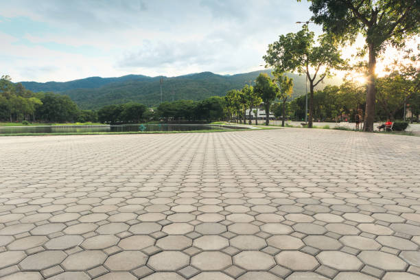 Best Professional Driveway Pavers  in Lynchburg, MS