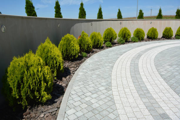 Best Driveway Paving Contractor  in Lynchburg, MS